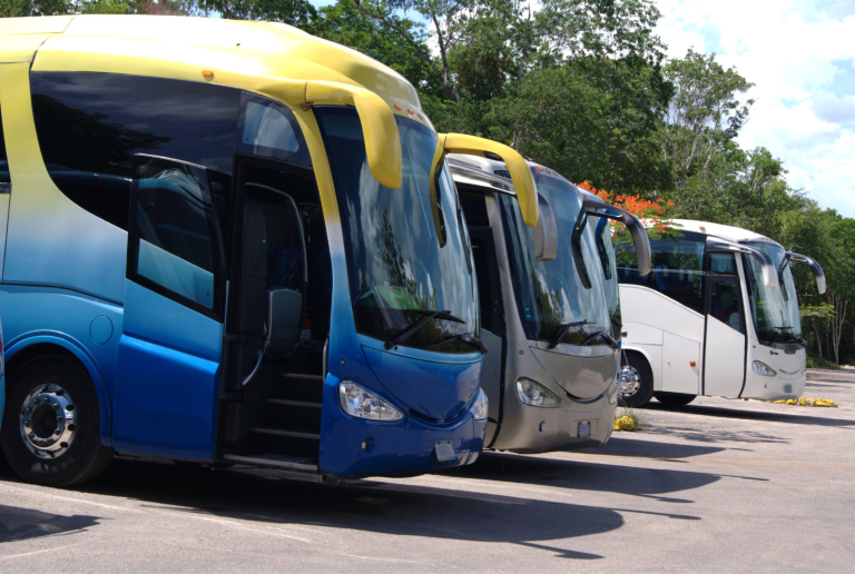 mini buses en venta