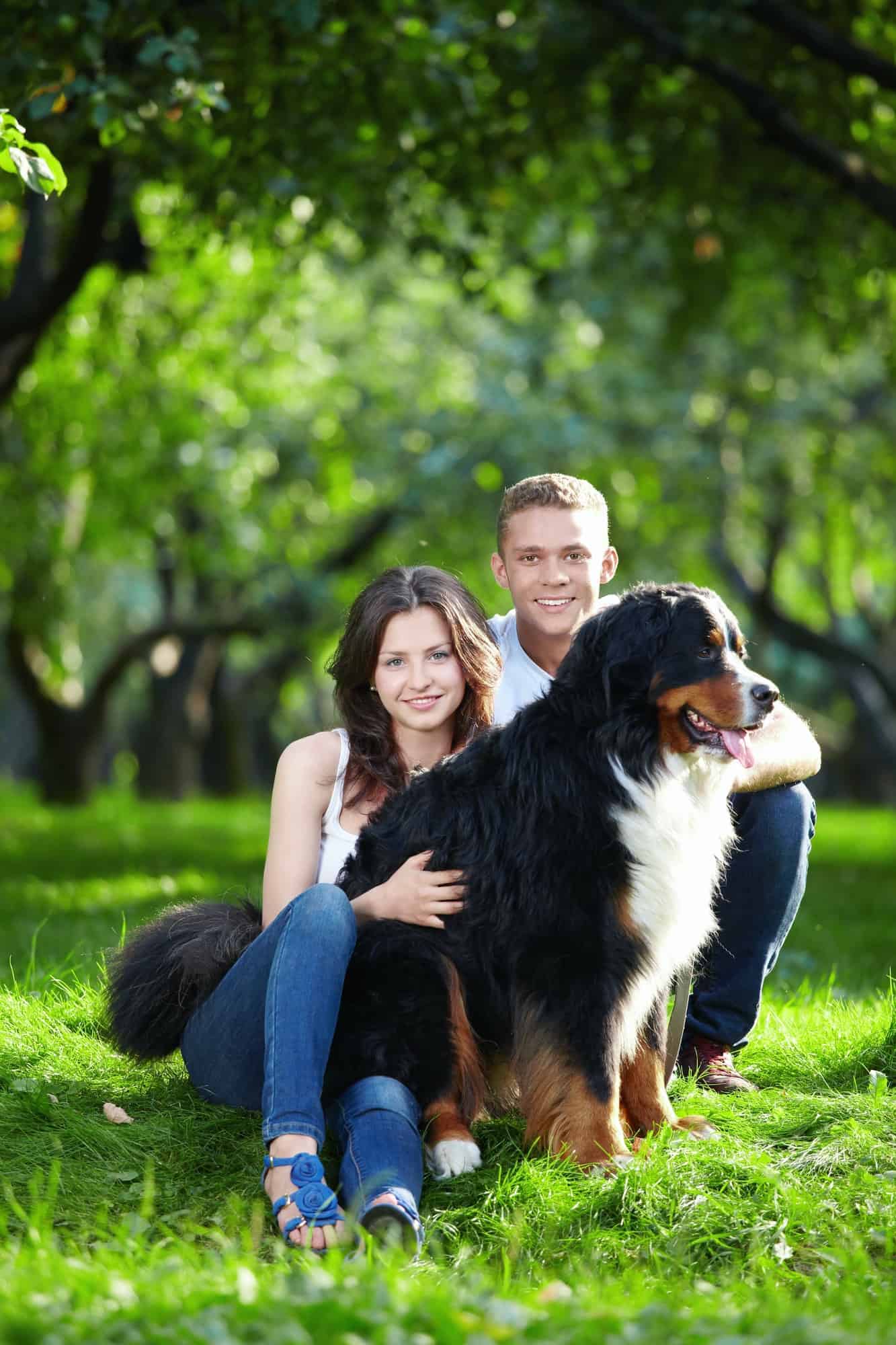 Pareja sentada en el césped de un parque junto a un perro boyero de Berna